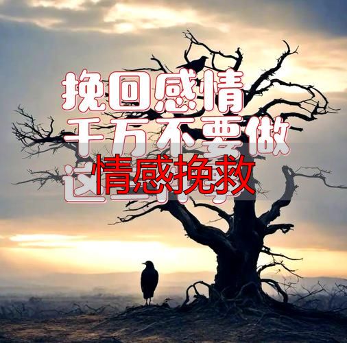情感挽救